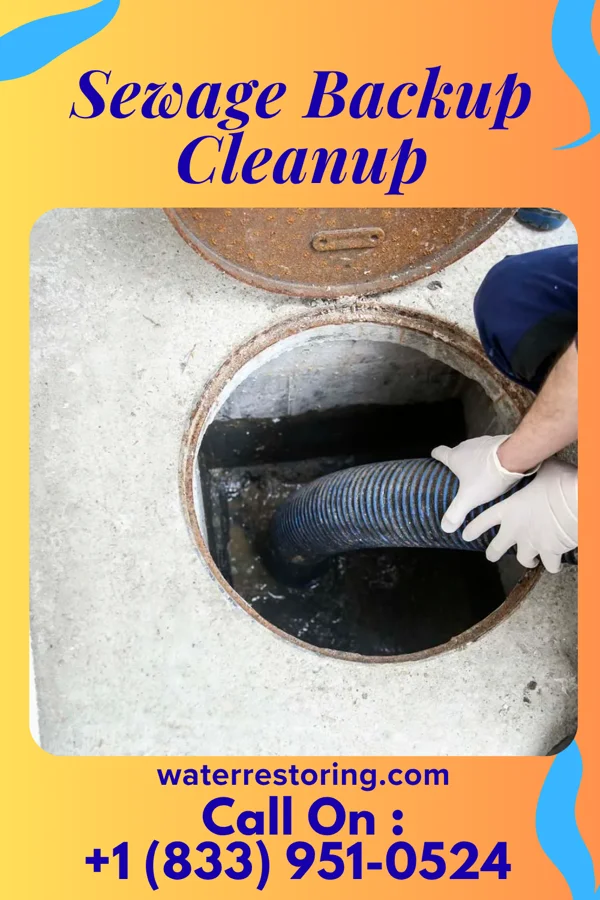 Sewage Backup Cleanup in White Hall, AR